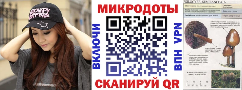 Галлюциногенные грибы Cubensis Шенкурск